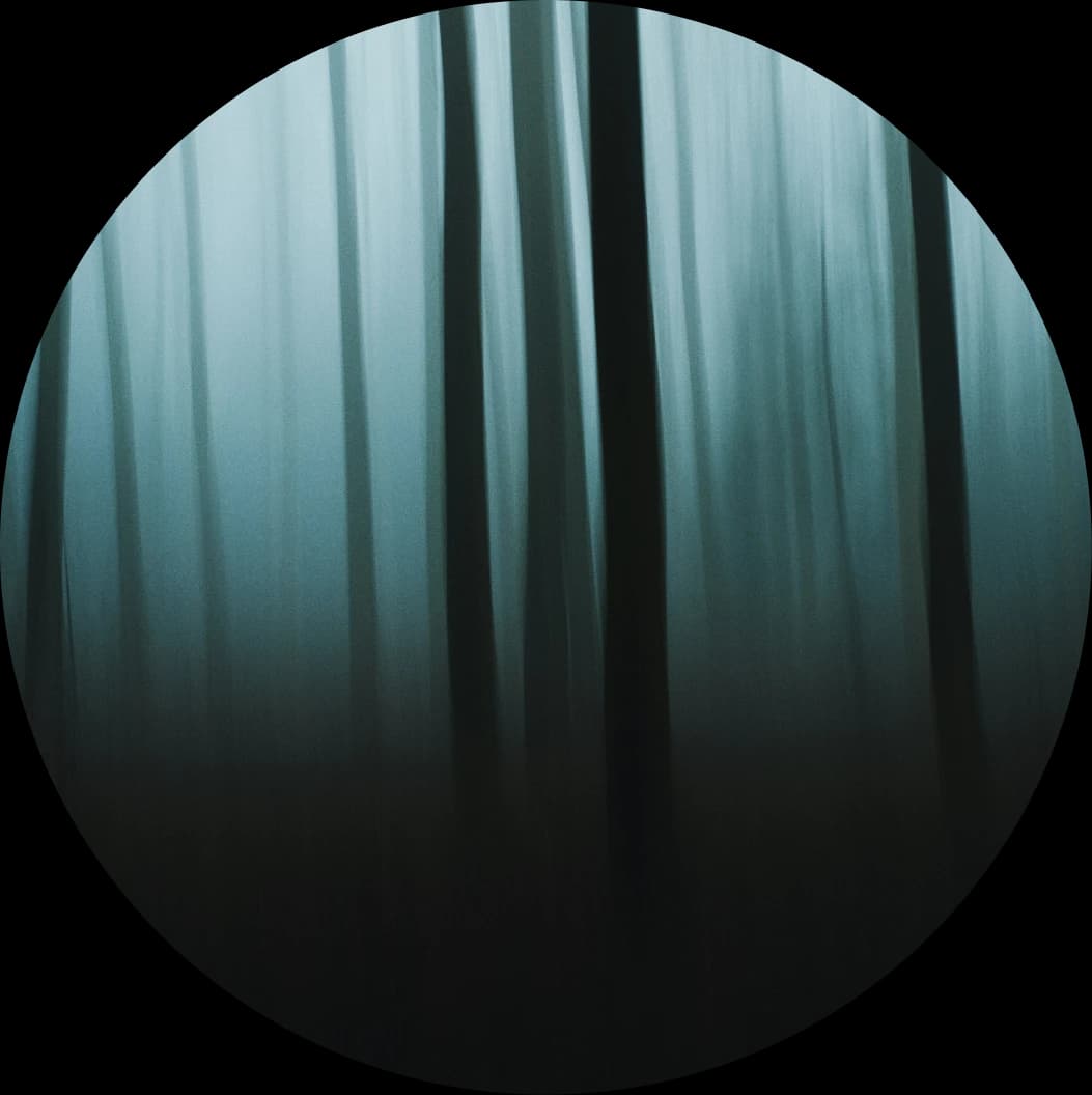 Wilderness