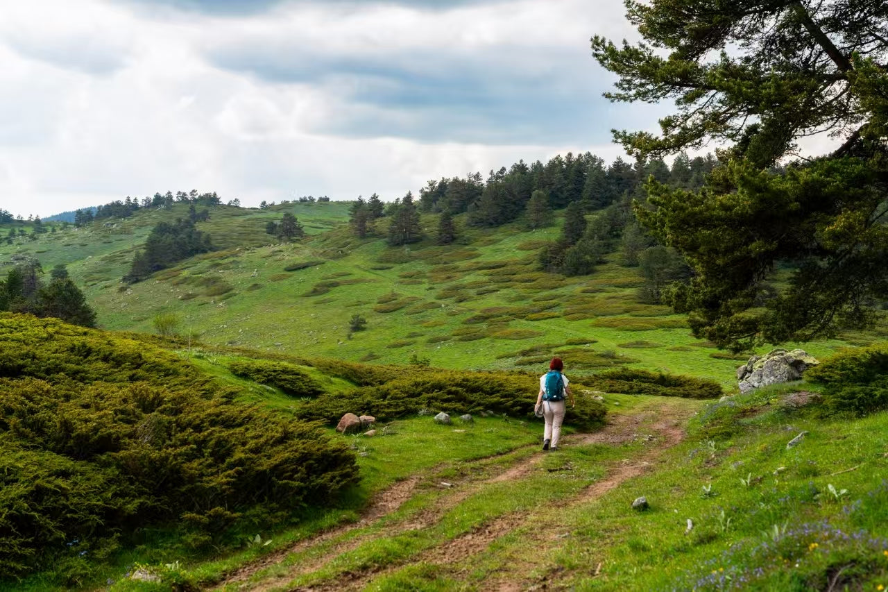How Nature Walks Improve Mindfulness and Reduce Anxiety