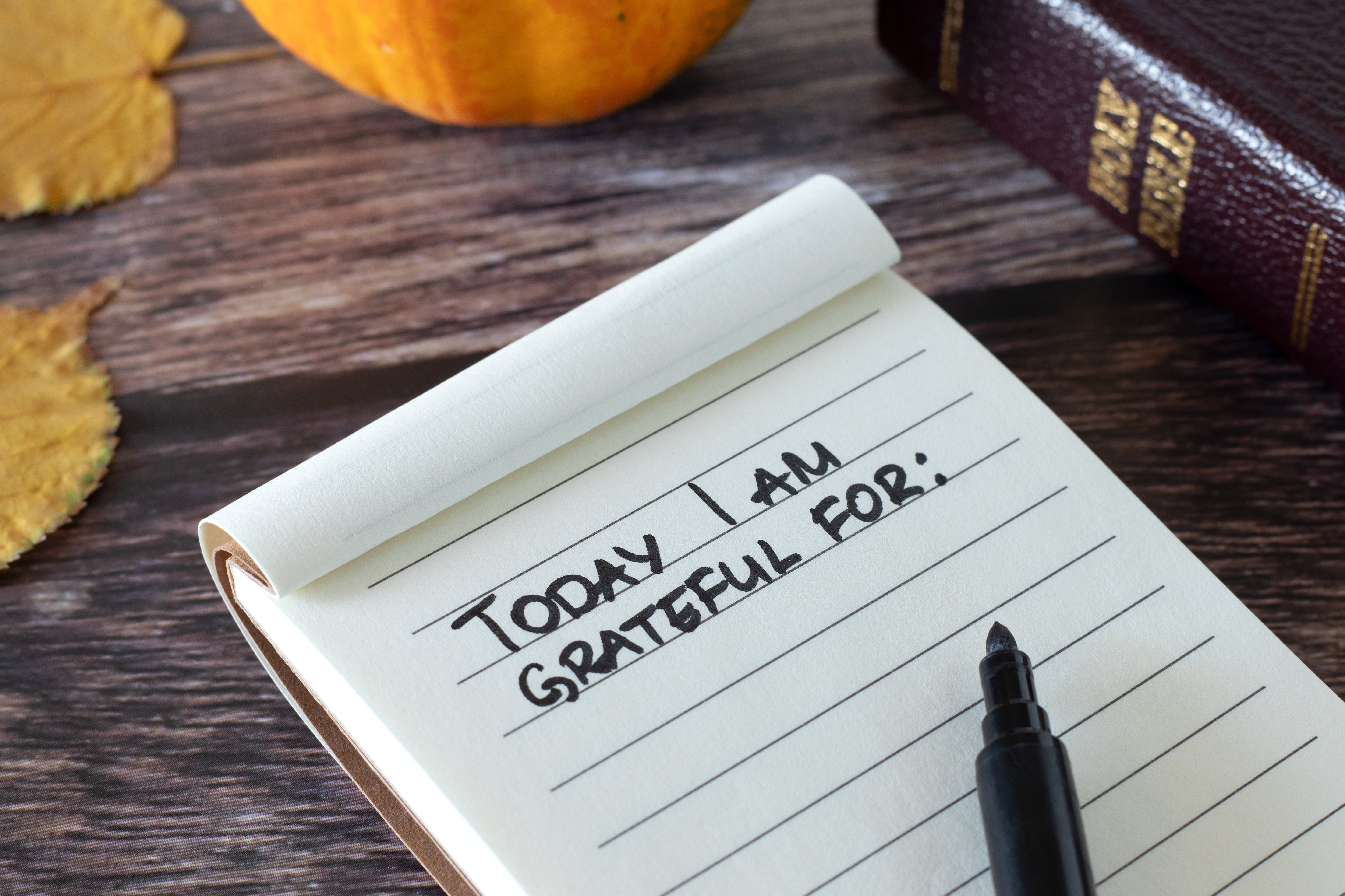 Breaking Negative Thought Patterns Through Gratitude Journaling